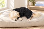 Styled image of the TESVOO black dog drying robe, based on the original product design