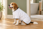 White robe on a beagle — styled product image