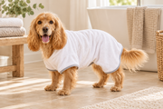 White robe on a cocker spaniel — styled product image